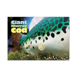 2023 Aussie Big Things Giant Murray Cod Large Double $1 PNC