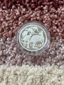 2006 $1 Fine Silver Proof Coin