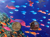 2021 Great Barrier Reef Large Double $1 Prestige PNC