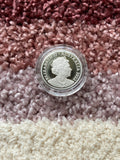 2022 Baby 10c Proof Coin