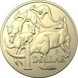2021 Koala Privy Mark $1 Carded Coin - ANDA Brisbane
